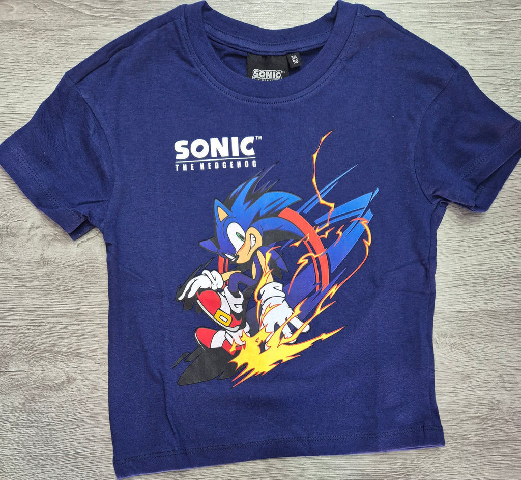 SONIC ESTATE COSTUME
