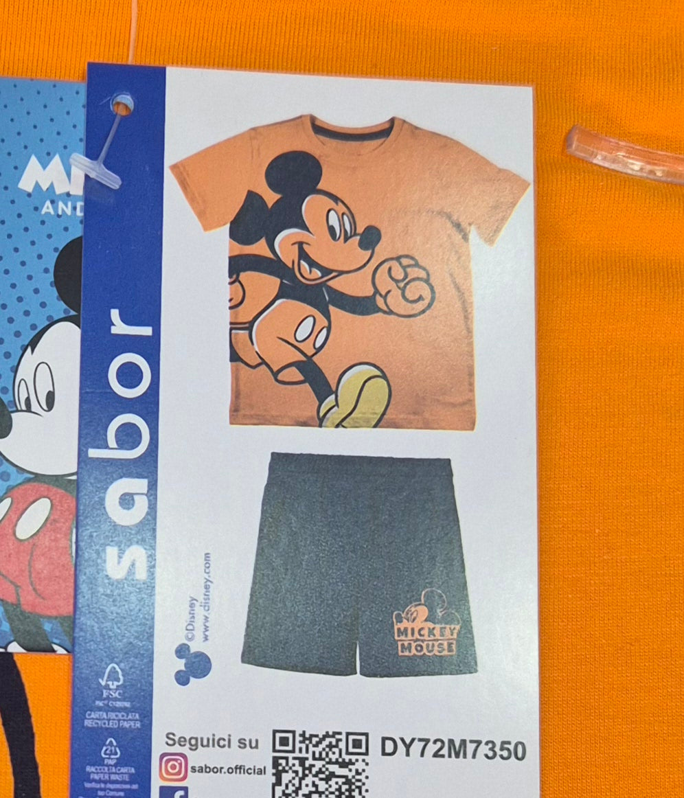 COMPLETI TOPOLINO -SABOR