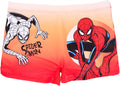 Costume SPIDERMAN