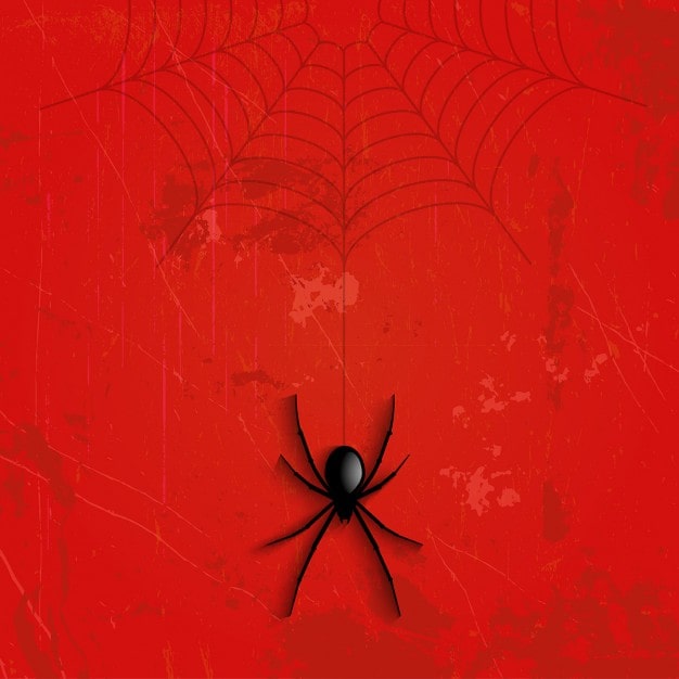 Borraccia personalizzata SPIDERMAN