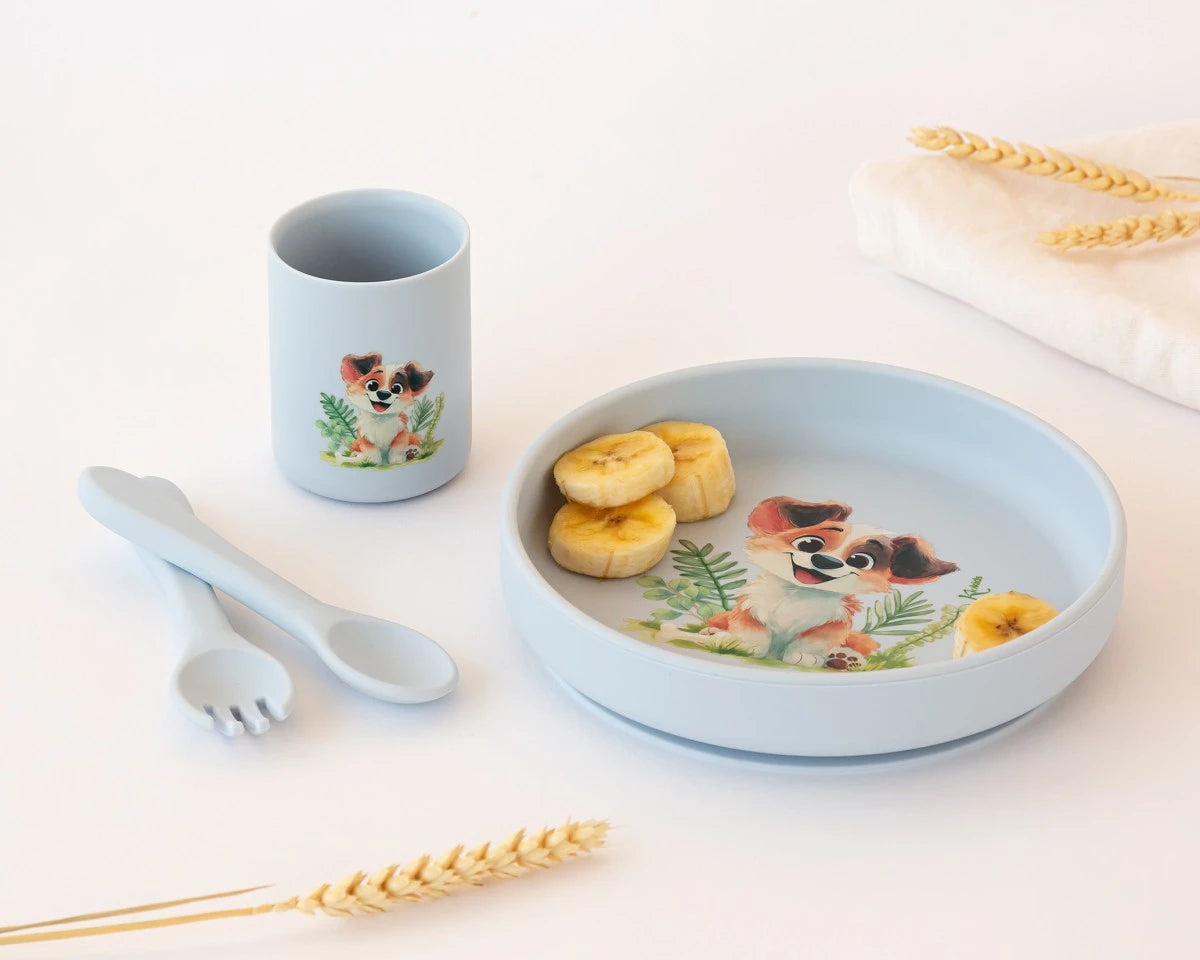 Set pappa in silicone per neonati con ventosa vari colori