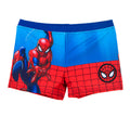 SPIDERMAN ESTATE costumi